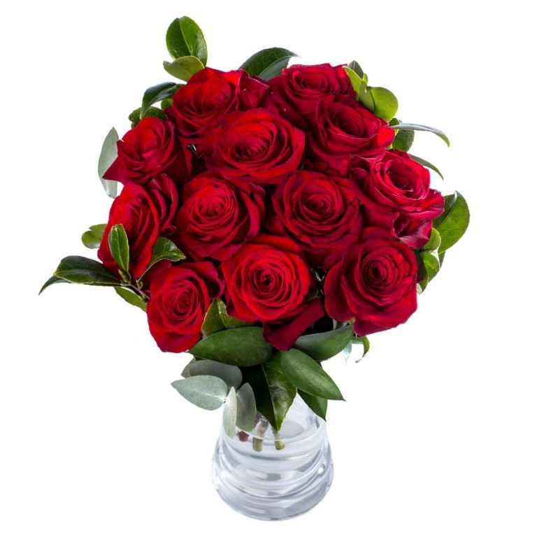 Cómo conservar pétalos de rosa frescos 🏵️ Guía 2021