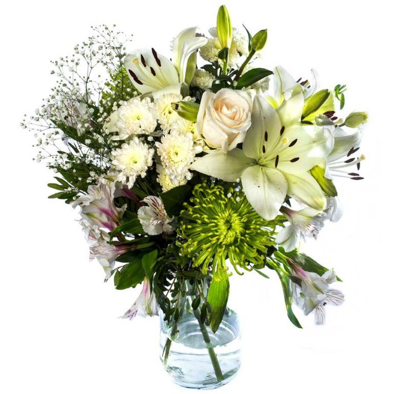 Cómo conservar pétalos de rosa frescos 🏵️ Guía 2021