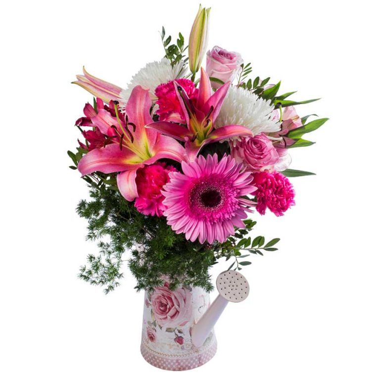 Cómo conservar pétalos de rosa frescos 🏵️ Guía 2021