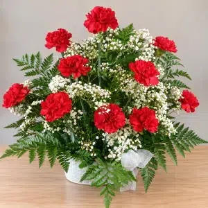 Centro de claveles rojos naturales con paniculata blanca, helechos y lazo blanco