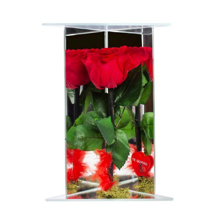 Cómo conservar pétalos de rosa frescos 🏵️ Guía 2021