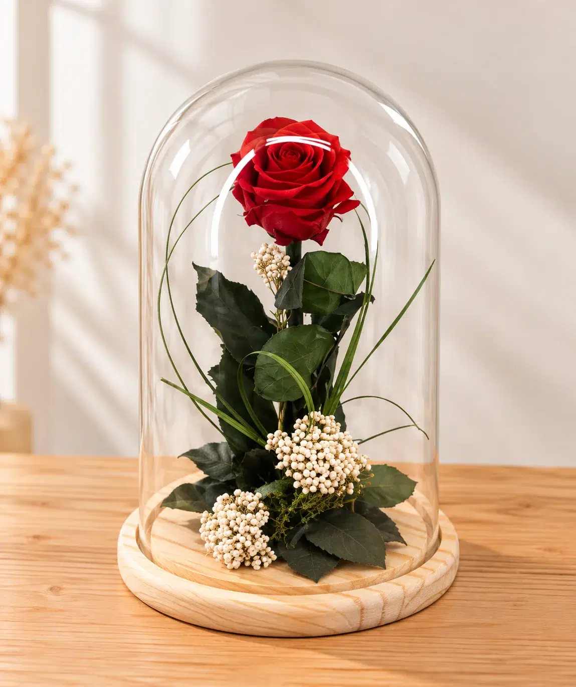 Cúpula rosa roja preservada Valentina bajo cristal