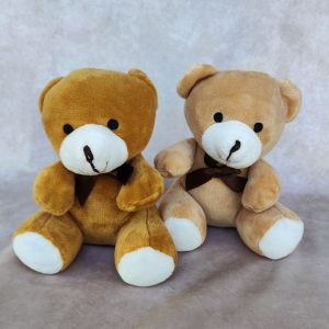 Oso de peluche